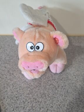 Singing & Dancing CuPig